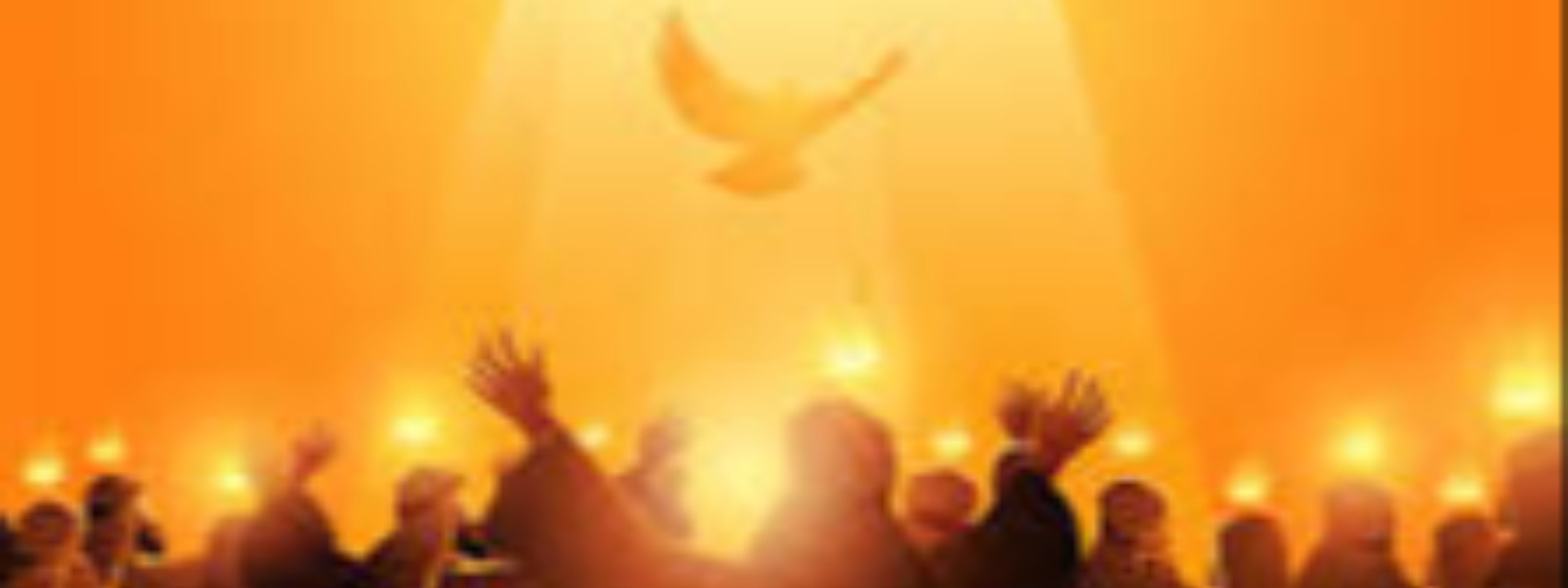 Come and celebrate Pentecost *
Sunday 8 June*
10.00 am