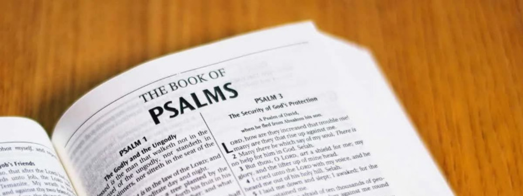 Enjoying the Psalms*
Saturday 31 January*
Details*