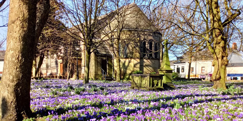 02 -St Chads crocuses